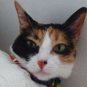 Meet your Posher, Daniela